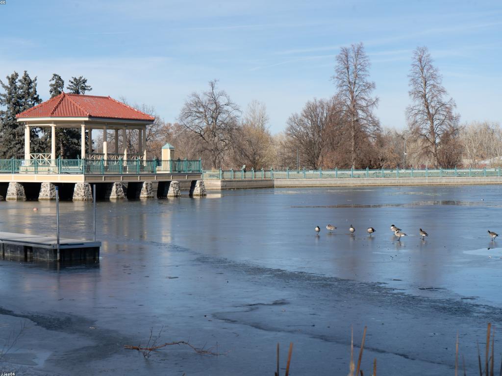 ការស្វែងយល់អំពីស្លាបព្រិលល្បែង: ការសម្គាល់ និងការអភិវឌ្ឍ